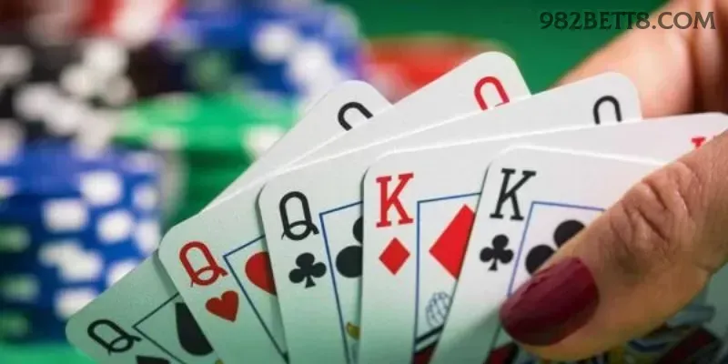 982bet - 6