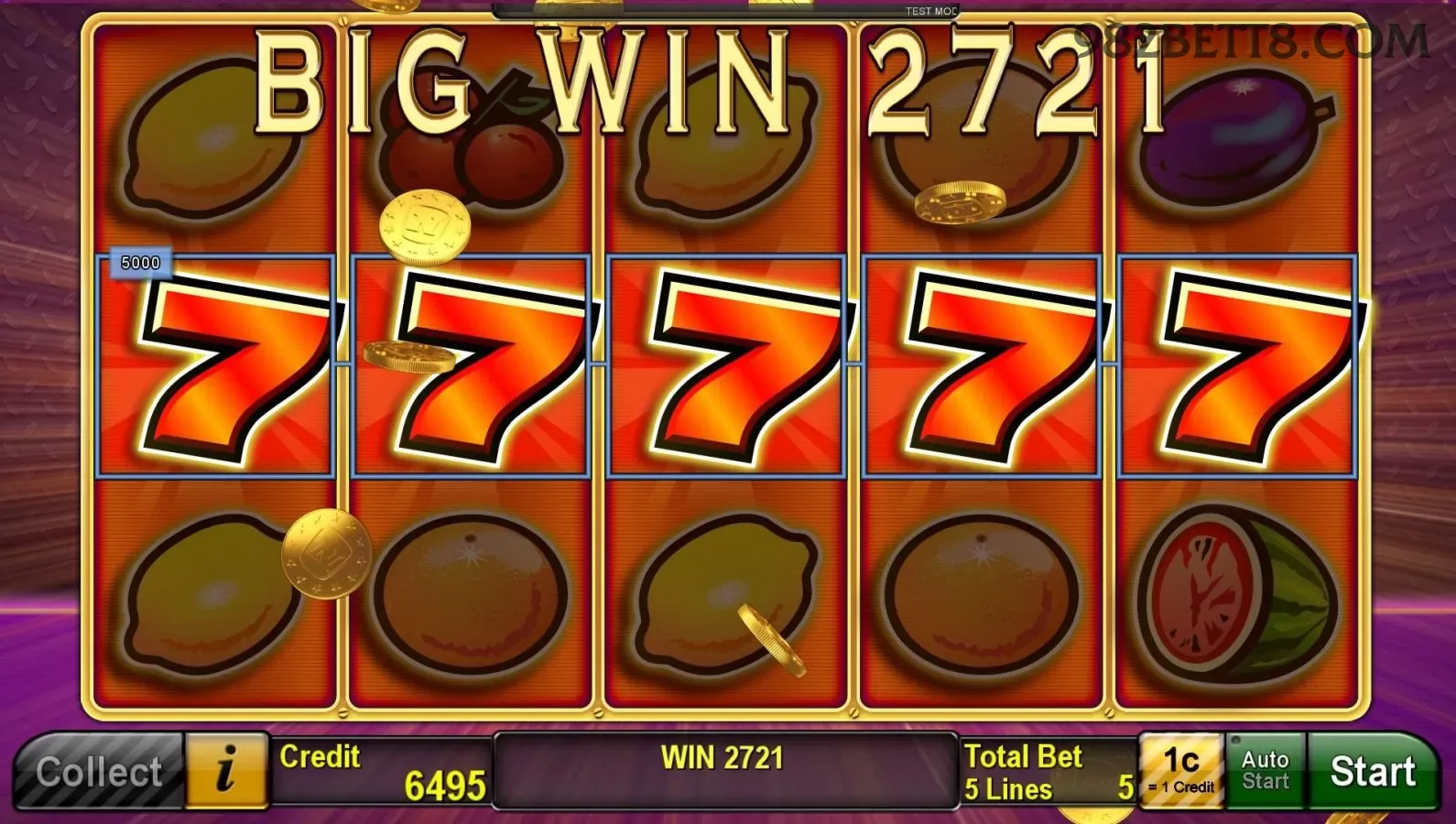 982bet - 2