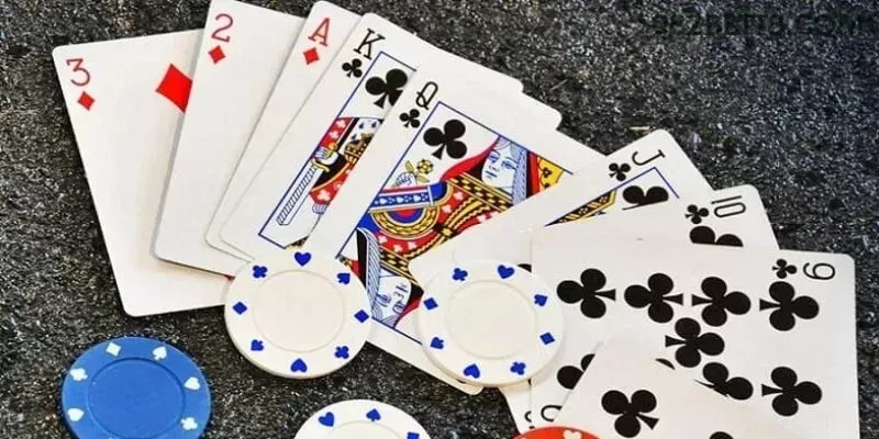 982bet - 2