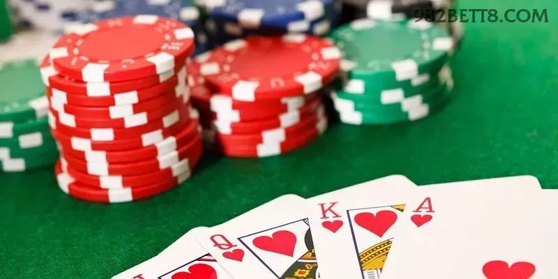 982bet - 5